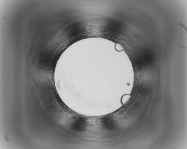 X0000098040415200804111351