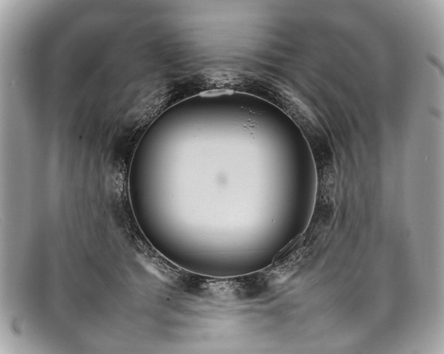 X0000098040417200804111351