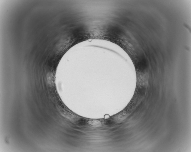 X0000098040419200804111351