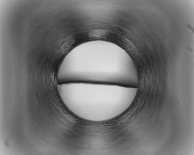 X0000098040420200804111351