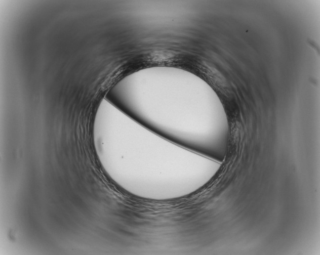 X0000098040421200804111351