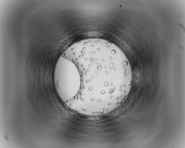 X0000098040422200804111351