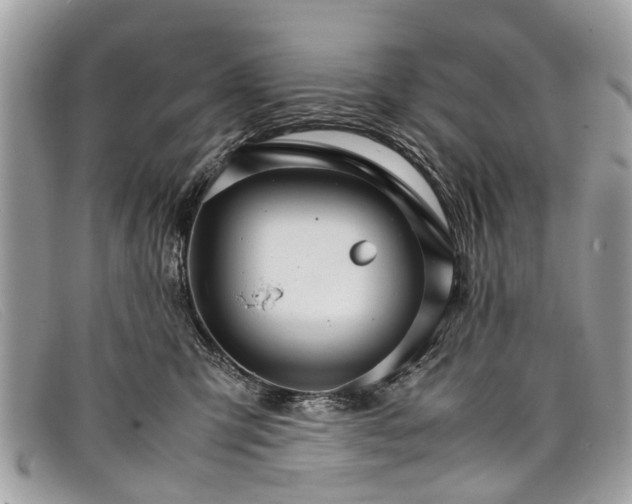 X0000098040423200804111351
