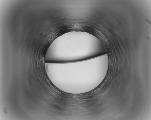 X0000098040425200804111351
