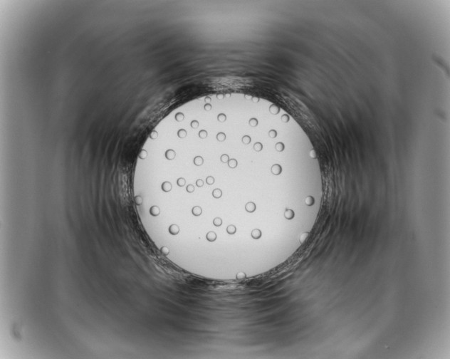 X0000098040426200804111351