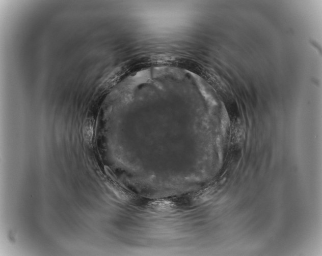 X0000098040427200804111351