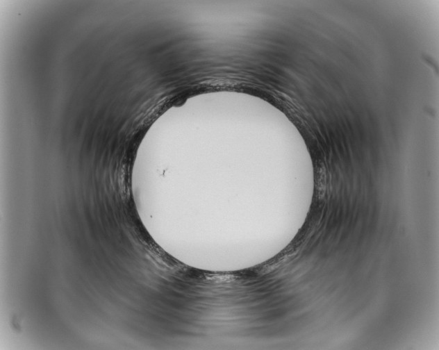 X0000098040428200804111351