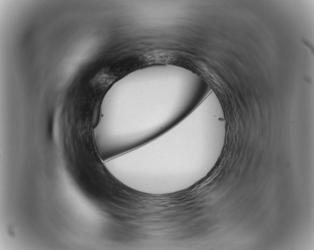 X0000098040429200804111351