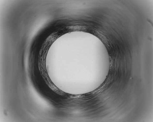X0000098040430200804111351