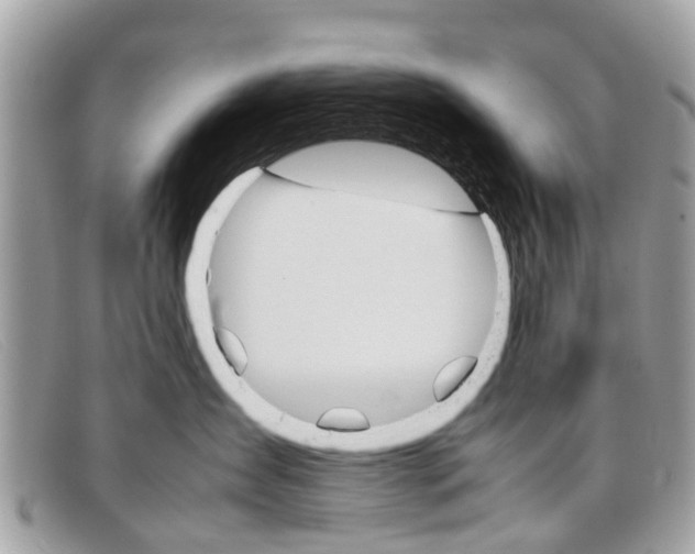 X0000098040431200804111351
