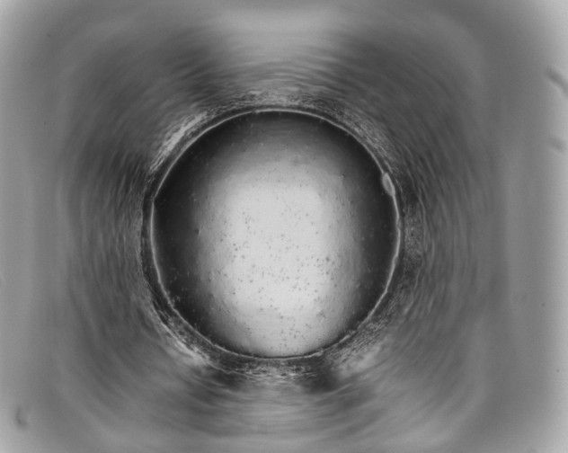 X0000098040434200804111350