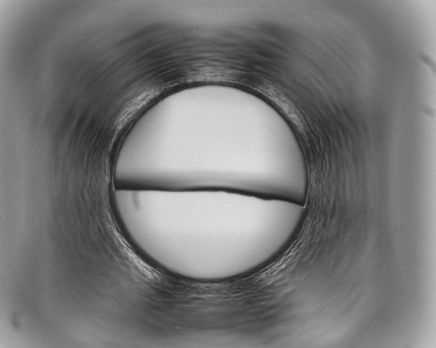 X0000098040437200804111350