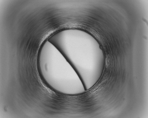 X0000098040438200804111350