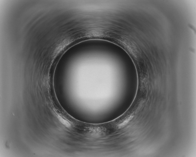 X0000098040439200804111350