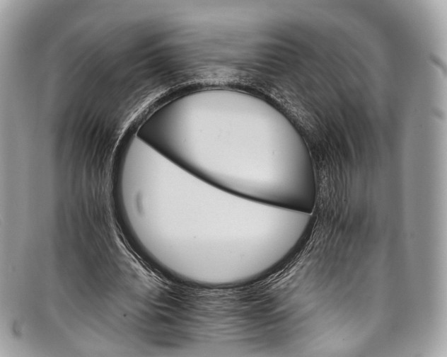 X0000098040440200804111350