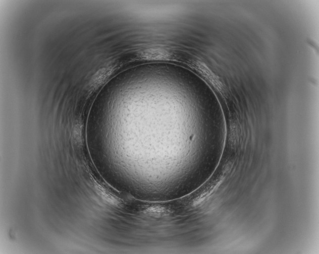 X0000098040441200804111350