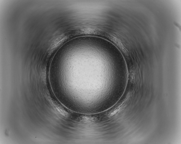 X0000098040442200804111350
