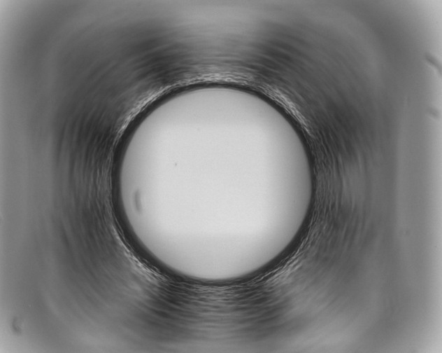 X0000098040444200804111350