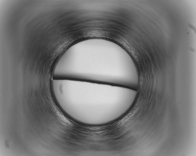 X0000098040445200804111350
