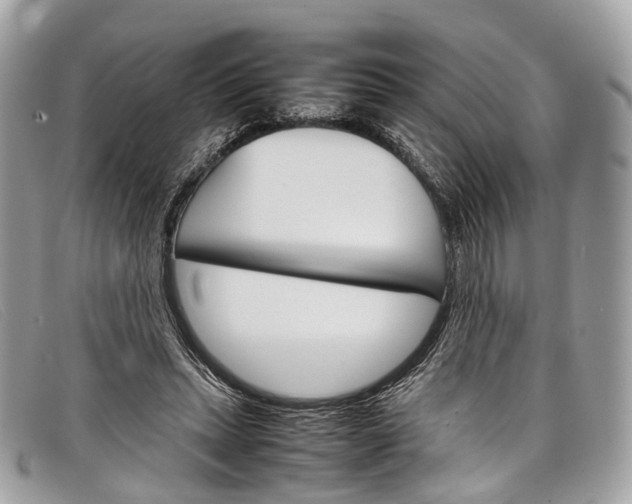 X0000098040447200804111350