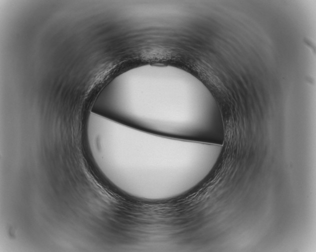 X0000098040448200804111350