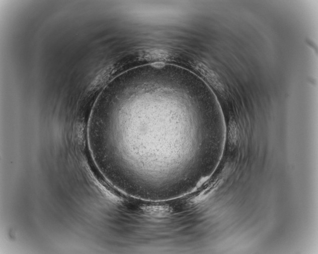 X0000098040449200804111350