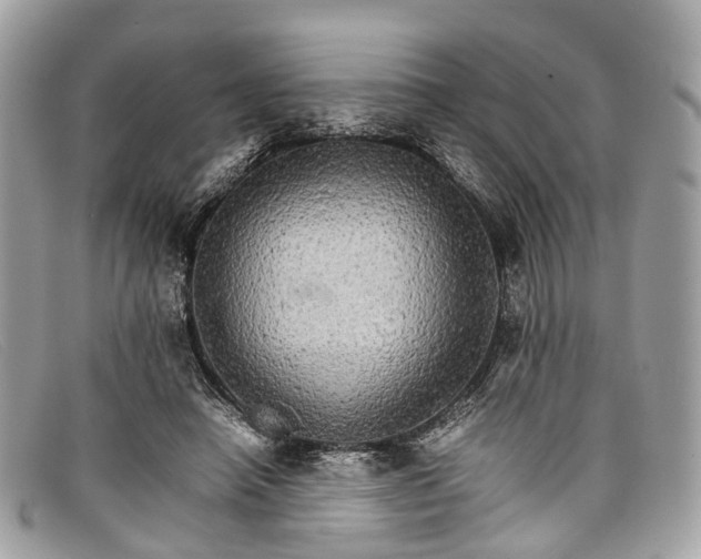 X0000098040450200804111350