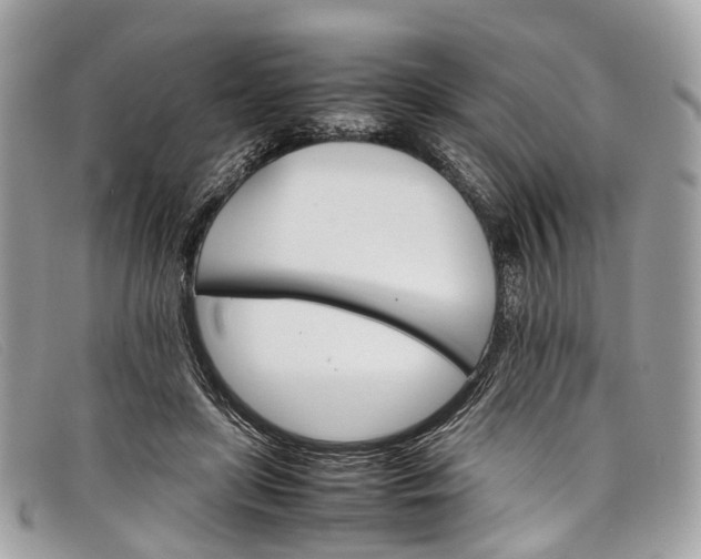 X0000098040451200804111350