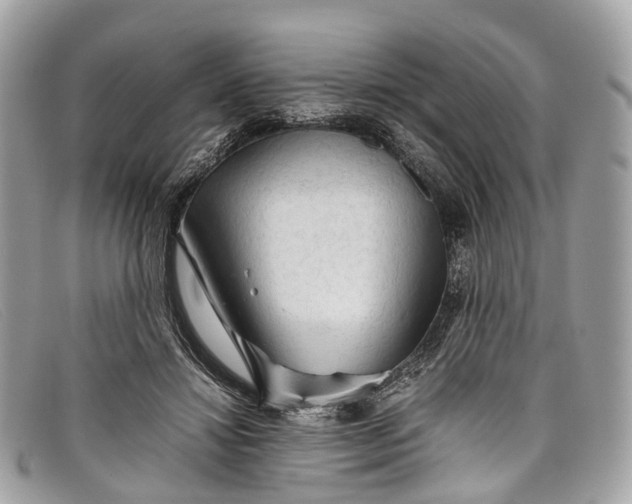 X0000098040452200804111350