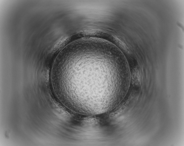 X0000098040454200804111351