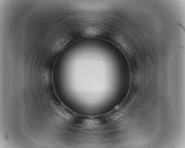 X0000098040455200804111351