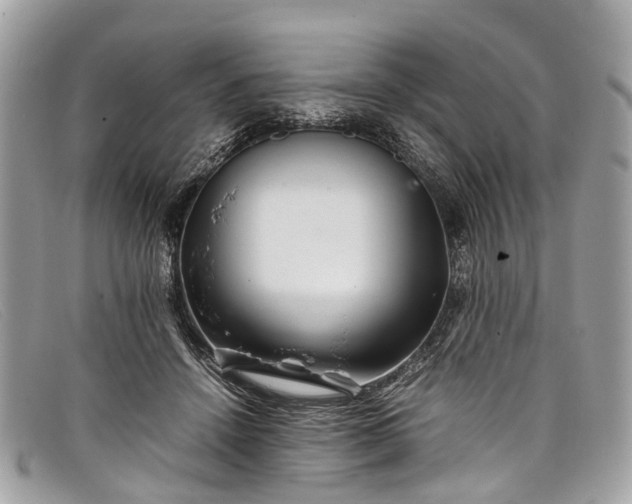 X0000098040456200804111351
