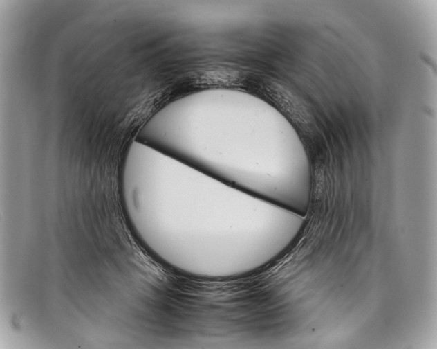 X0000098040457200804111351