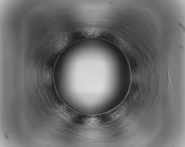 X0000098040460200804111351