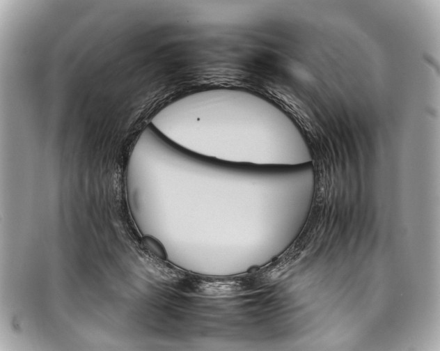 X0000098040461200804111351