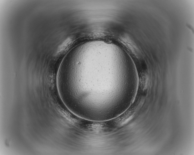 X0000098040462200804111351