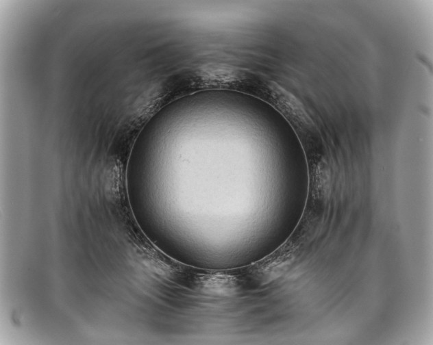 X0000098040463200804111351