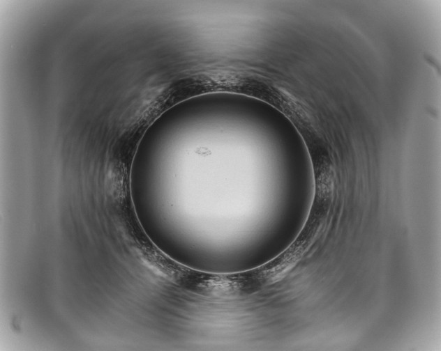 X0000098040464200804111351