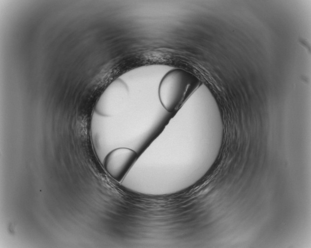 X0000098040466200804111351