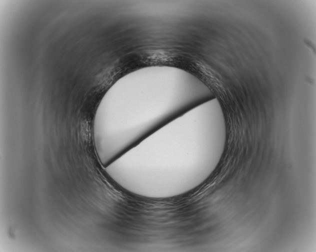 X0000098040467200804111351