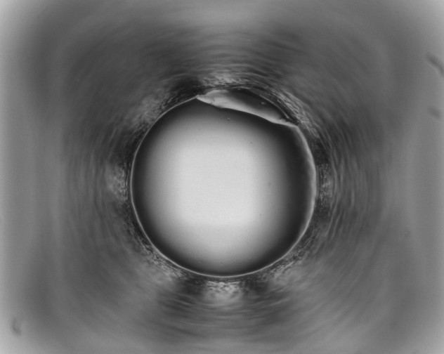 X0000098040469200804111351