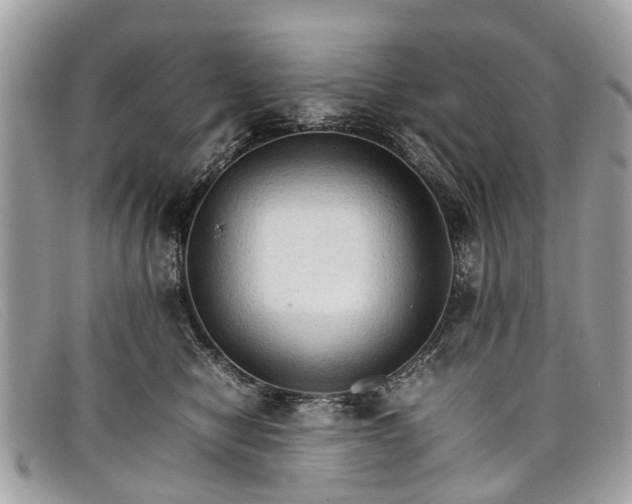 X0000098040470200804111351
