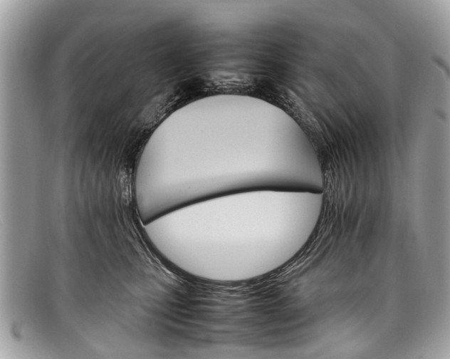 X0000098040471200804111351