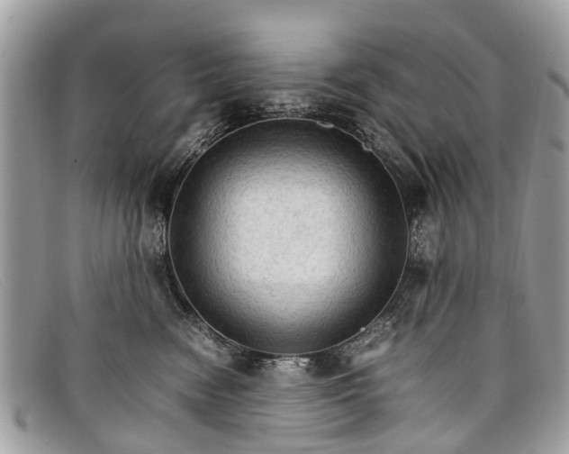 X0000098040474200804111351