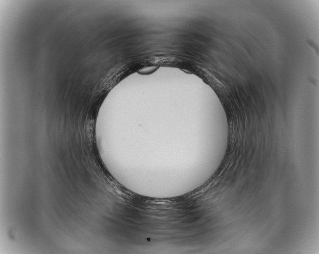 X0000098040475200804111351