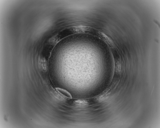 X0000098040477200804111351