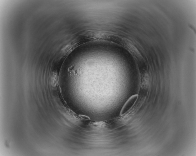 X0000098040478200804111351