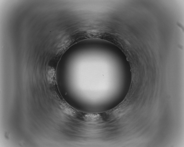 X0000098040480200804111351