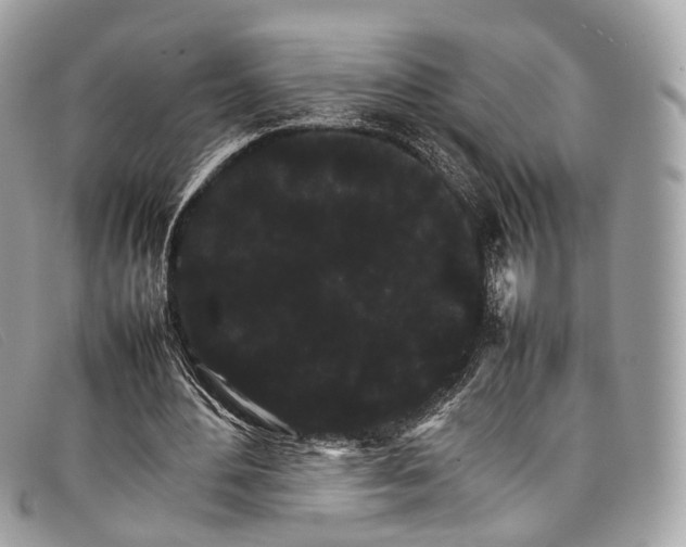 X0000098040484200804111350