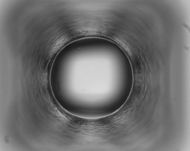 X0000098040485200804111350
